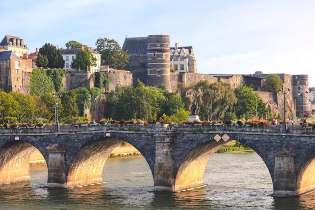 Angers Centre- Gare - Chateau - Duplex 2 Chambres Zewnętrze zdjęcie